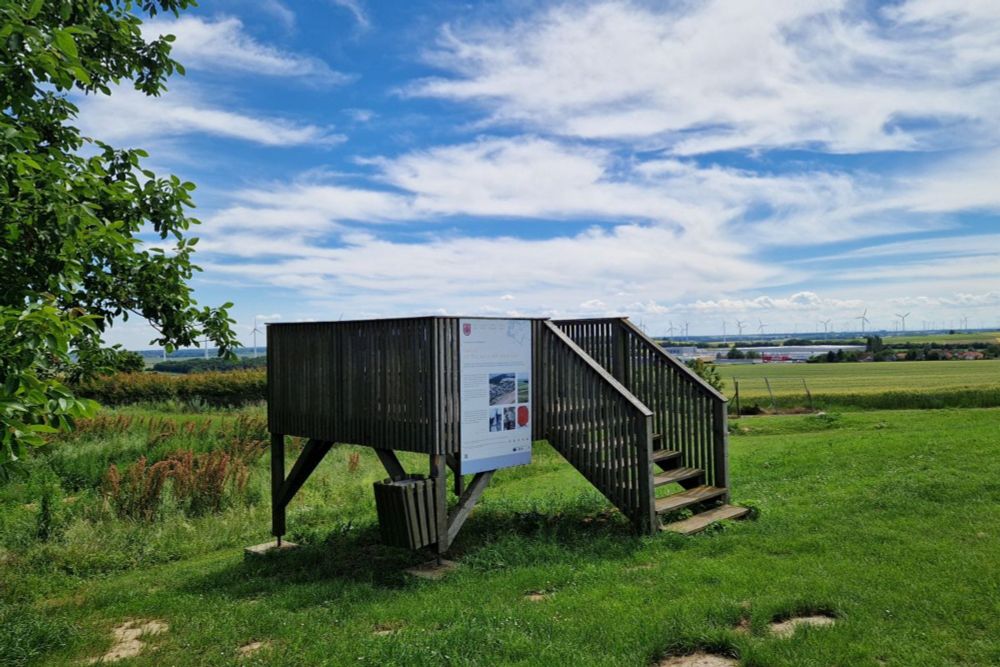 Der Feldhasenmarsch in Edelstal