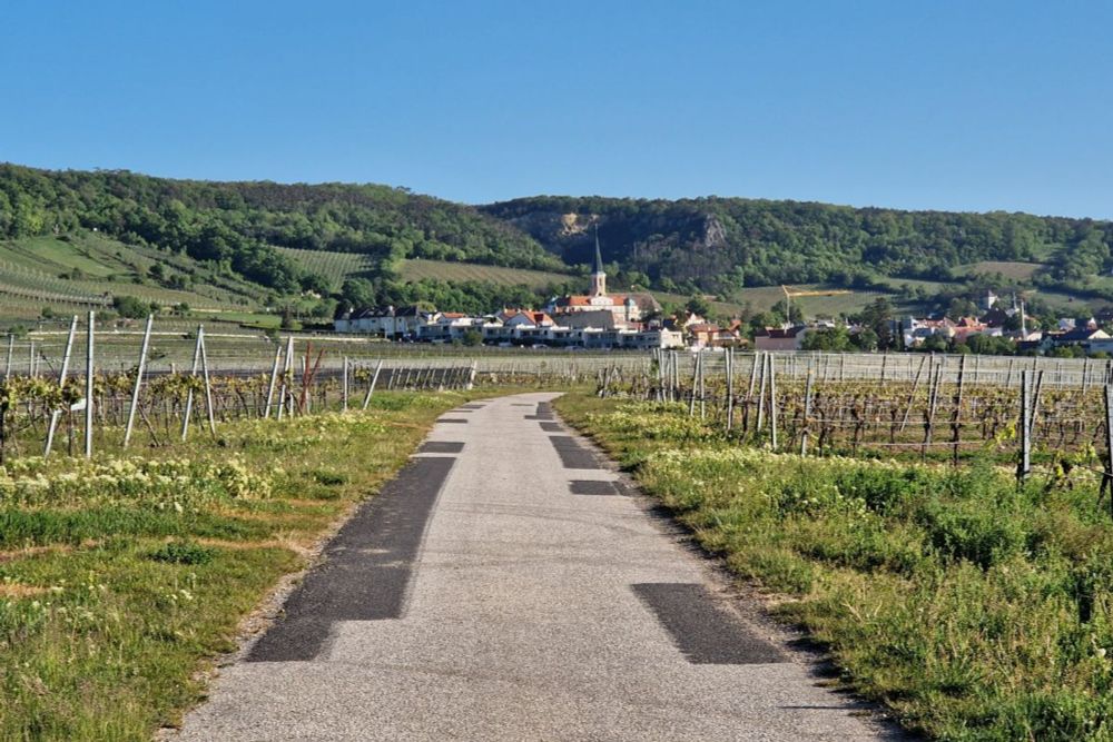 Der "Tut gut!"-Schritteweg "Gesundes Gumpoldskirchen"