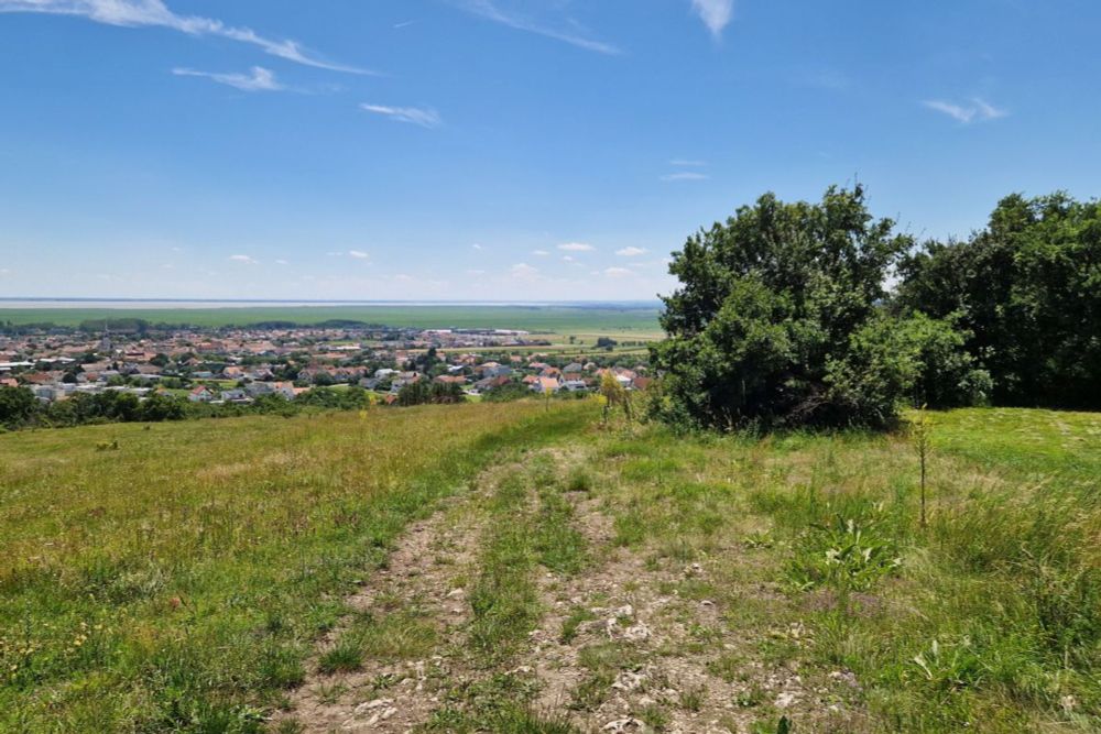 Die Entdecker-Route "Die Purbacher Heide"