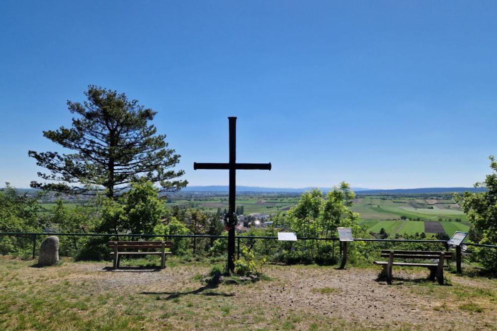 Der "Tut gut!"-Schritteweg "Gesundes Bad Vöslau"