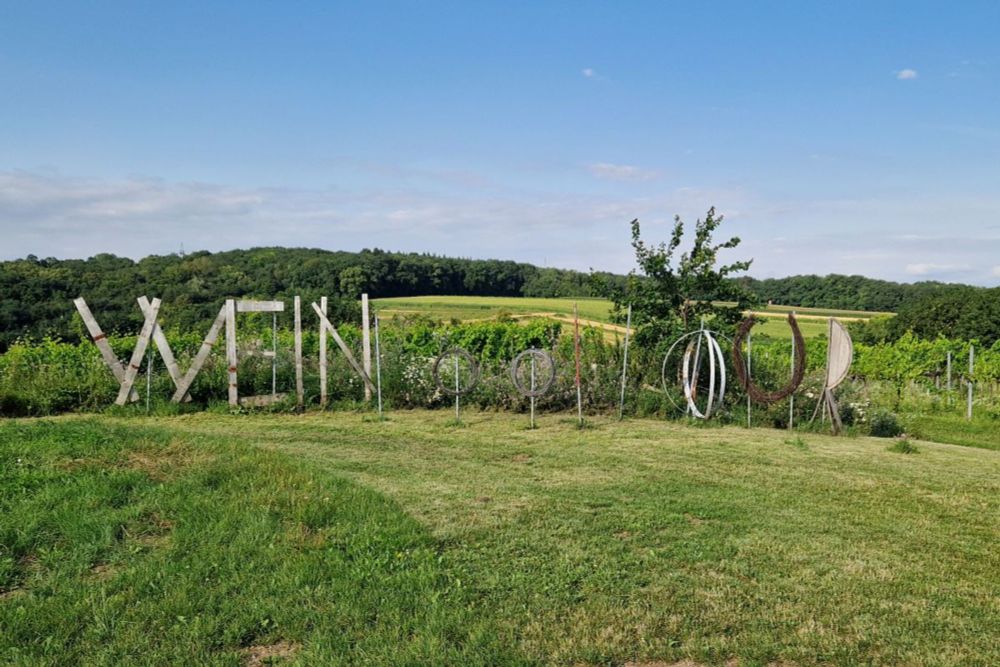 Die WeinCoolTour in Traismauer