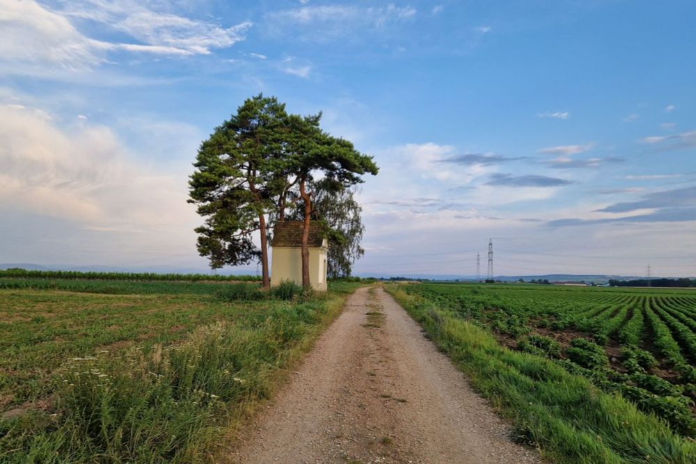 "Tut gut!"-Wanderweg Kirchberg am Wagram - Route 3