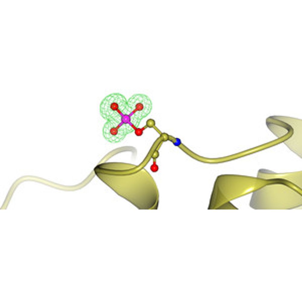 Post-translational modifications in the Protein Data Bank