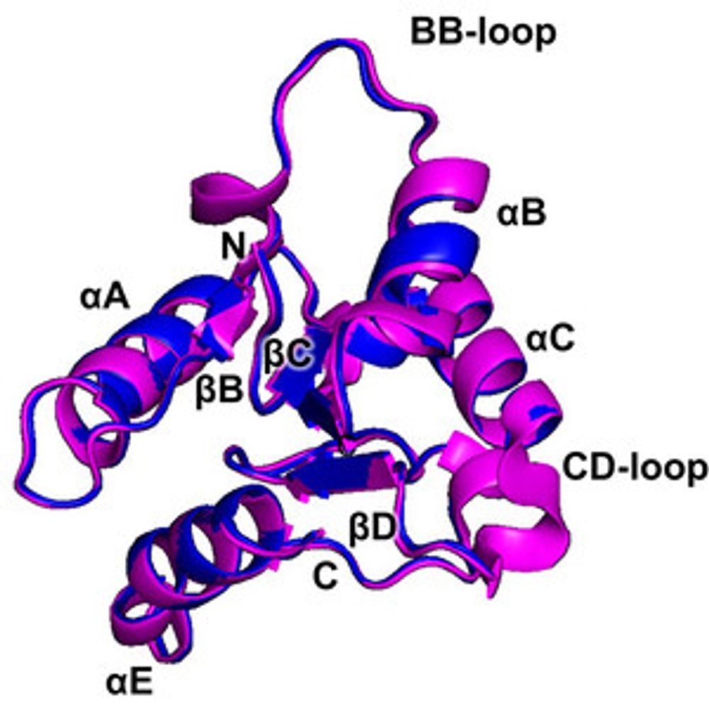 Microcrystal electron diffraction structure of Toll-like receptor 2 TIR-domain-nucleated MyD88 TIR-domain higher-order assembly