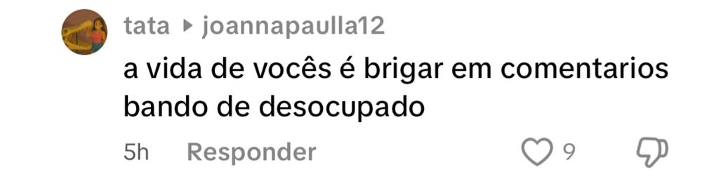 Print de comentário do TikTok “a vida de vocês é brigar em comentários bando de desocupado”