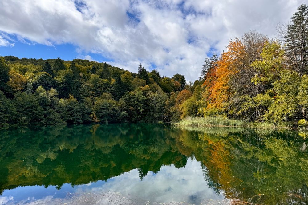 Lush rows of green trees cut through the middle of the image, over a lake. The trees on the right are changing colors. The day is partly cloudy with some blue sky. The scene is reflected in the lake below.