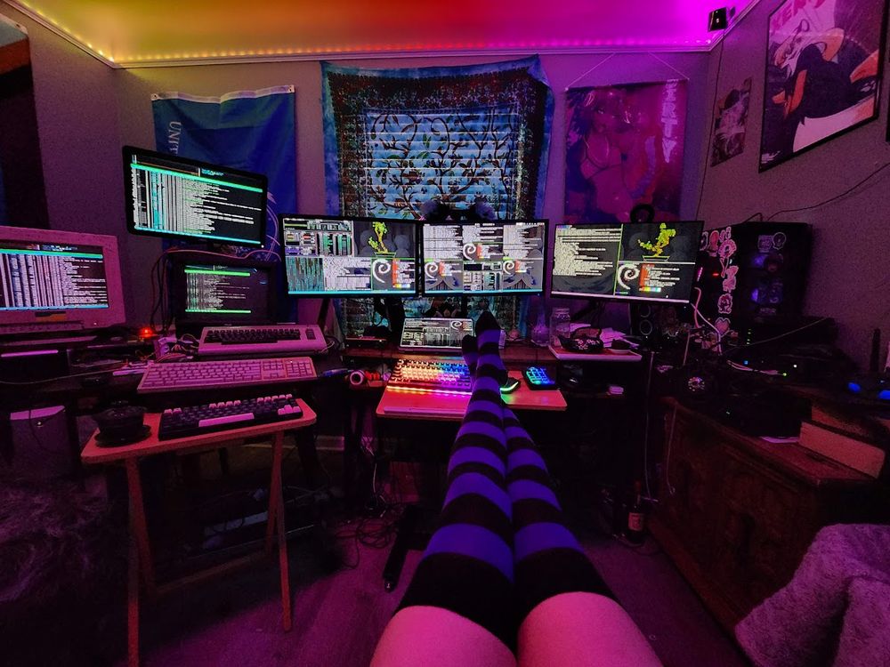 ye olde thigh-high unixporn

black and purple striped thigh highs

hyprland on some, gnome on the desky;  three older compies, a server, a nuc, and a desky;

a c64

furry posters and shit