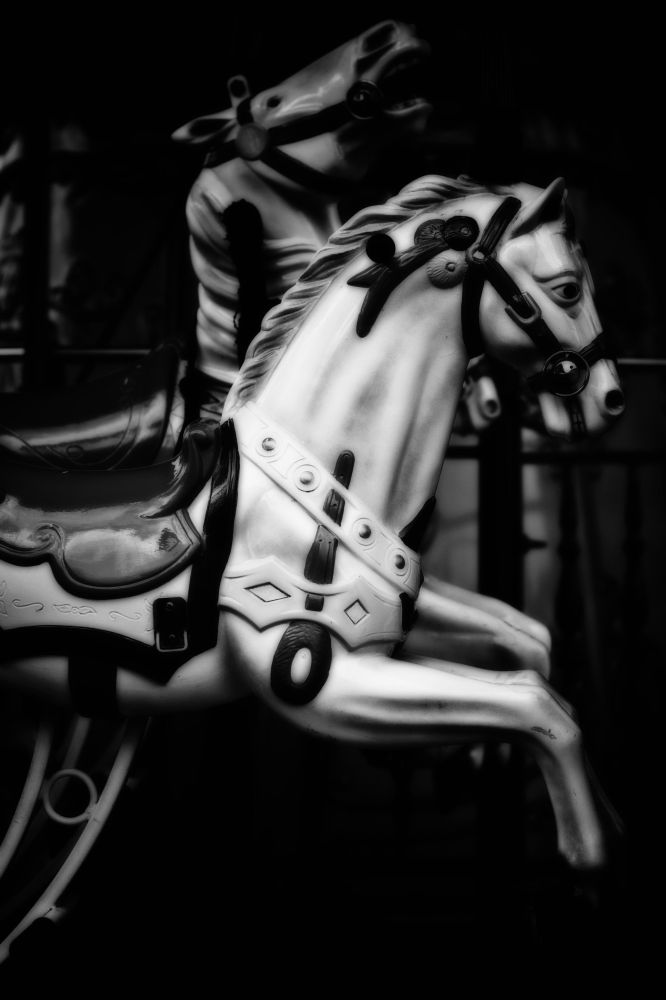 A black and white image showcases an intricately designed carousel horse, capturing the elegance and detail of the amusement ride. The horse is adorned with decorative harnesses and exudes a vintage charm.