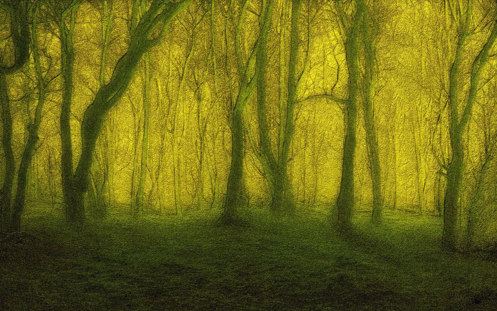 A dense forest bathed in a soft, ethereal green light creates an enchanting and mysterious atmosphere. Tall trees with intertwining branches form a natural canopy overhead.