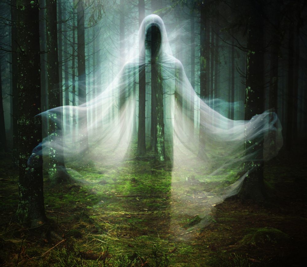 A ghostly, hooded spirit with flowing robes hovers in a misty forest, creating an eerie and mysterious atmosphere. The interplay of light and shadow adds to the spectral mood.