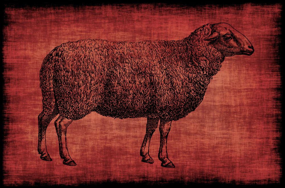 A detailed farmhouse chic depiction of a sheep stands against a textured red background, creating a rustic, vintage look. The curly wool and intricate lines of this farm animal showcase a classic style.