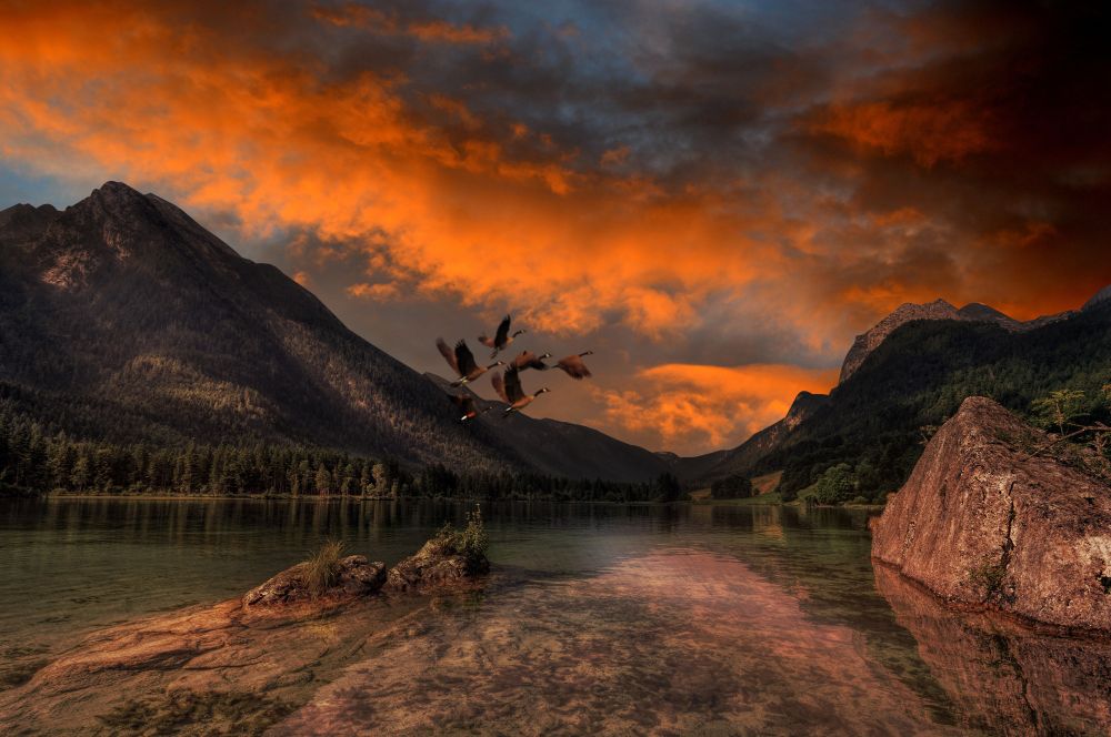 Dramatic orange and red hues dominate the sky during sunset over a serene mountain lake, creating a striking contrast with the dark, lush greenery. A flock of Canadian Geese flies gracefully across the scene, enhancing the sense of tranquility.