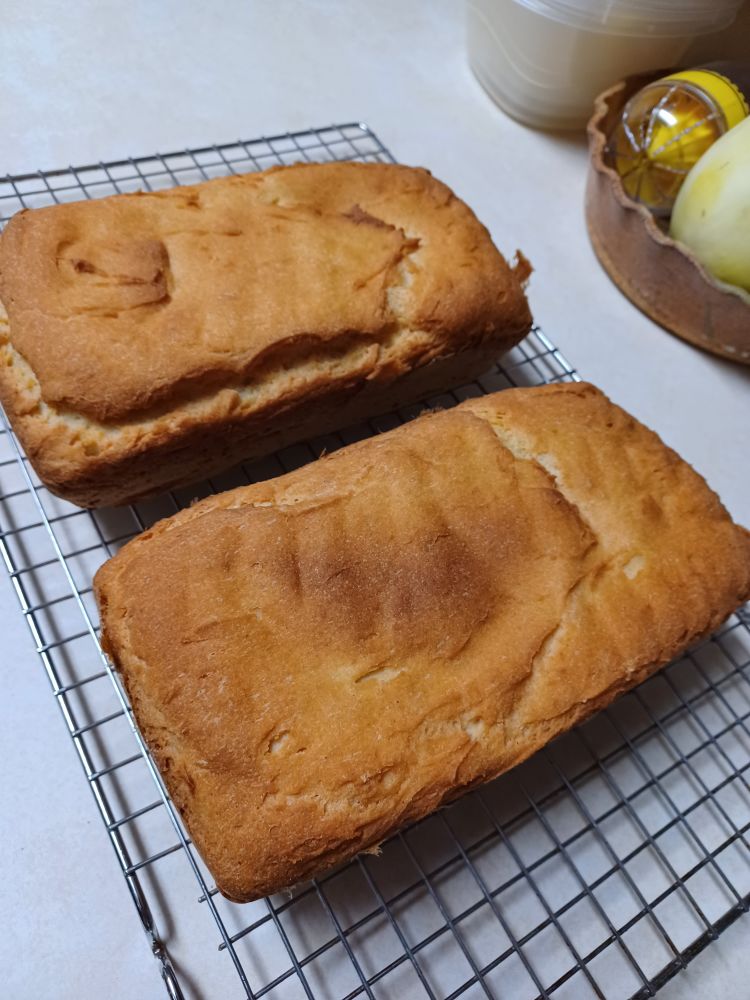 Two loaves of homemade gluten free bread on a cooling rack. "Four flour bread" from The Gluten Free Gourmet by Bette Hagman, with modifications. It's not great bread for slicing, it goes stale immediately, but it crumbles easily to make crumbs for breading cutlets or adding to meatballs. Crumble, air dry somewhat, bake at 250F until all moisture has fled. Grind smaller in a food processor, store at room temperature. Or cube and dry out the same way for croutons.