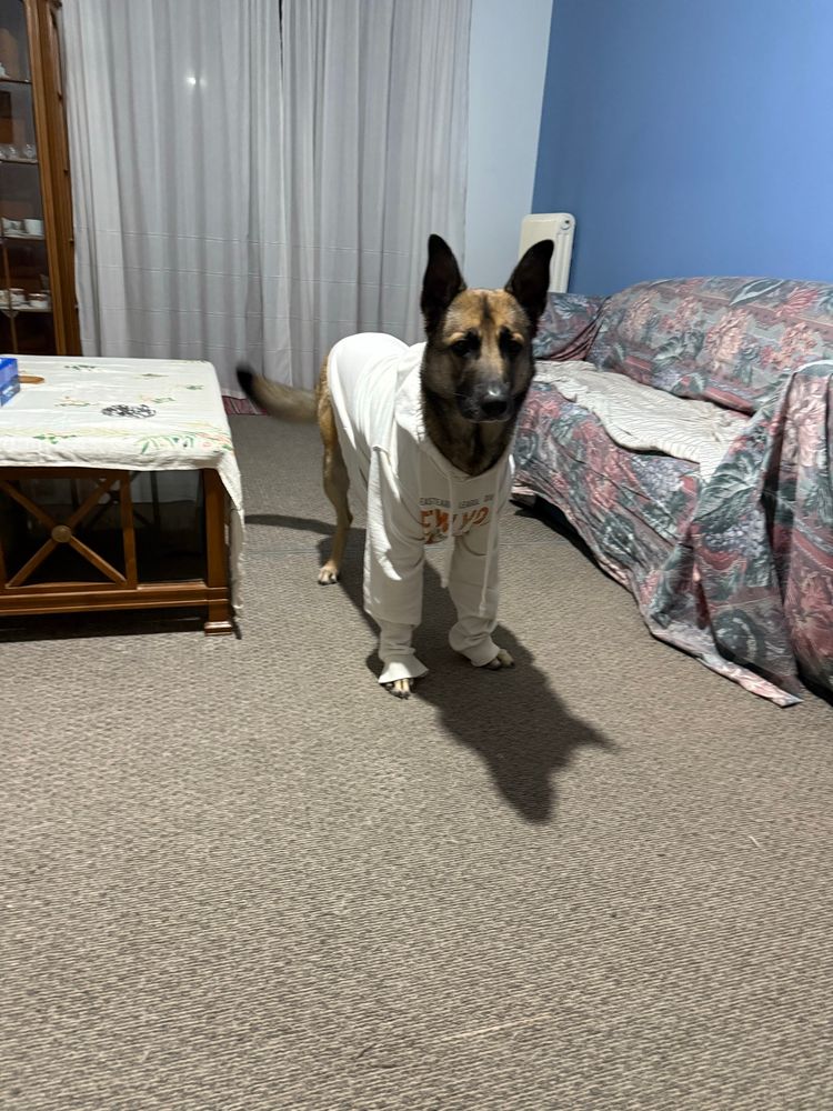 Ziva trying out clothes!