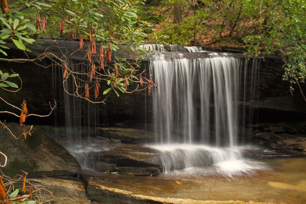 Water drops off a small ledge to a flat rock below.