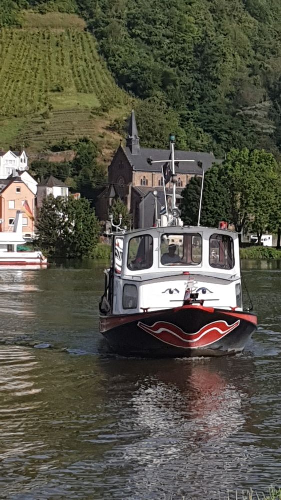 Moselfähre zwischen Alf und Bullay kommt gerade an. Die Fähre ist  mit einem Mund und Augen bemalt, sie  lacht einem an