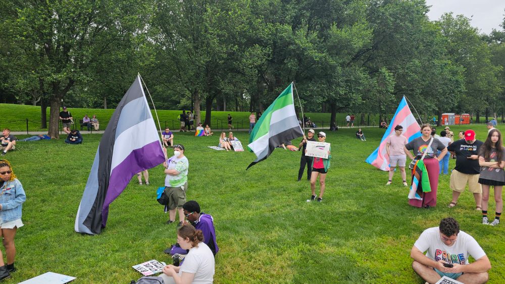 People holding giant ace,aro, and trans flags. 
