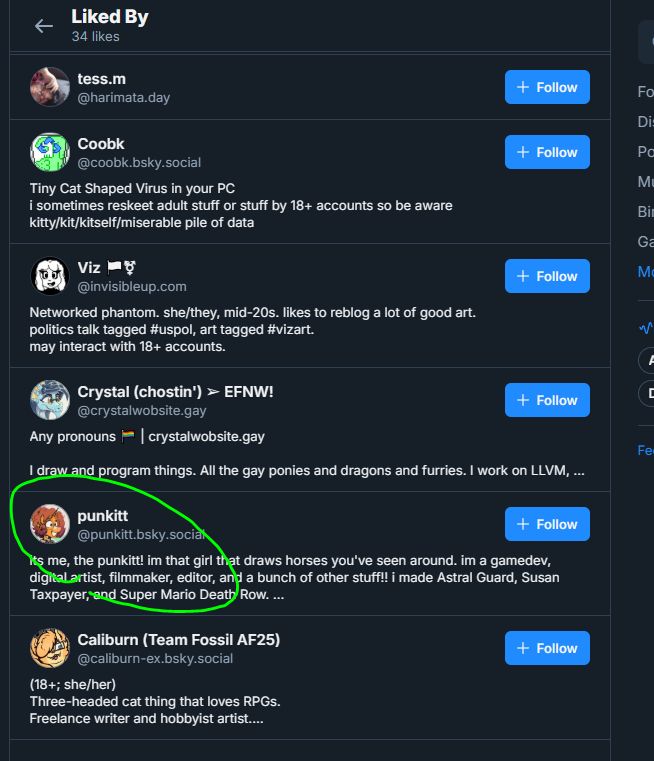 Showing Punkitt as one of the users who liked the post.