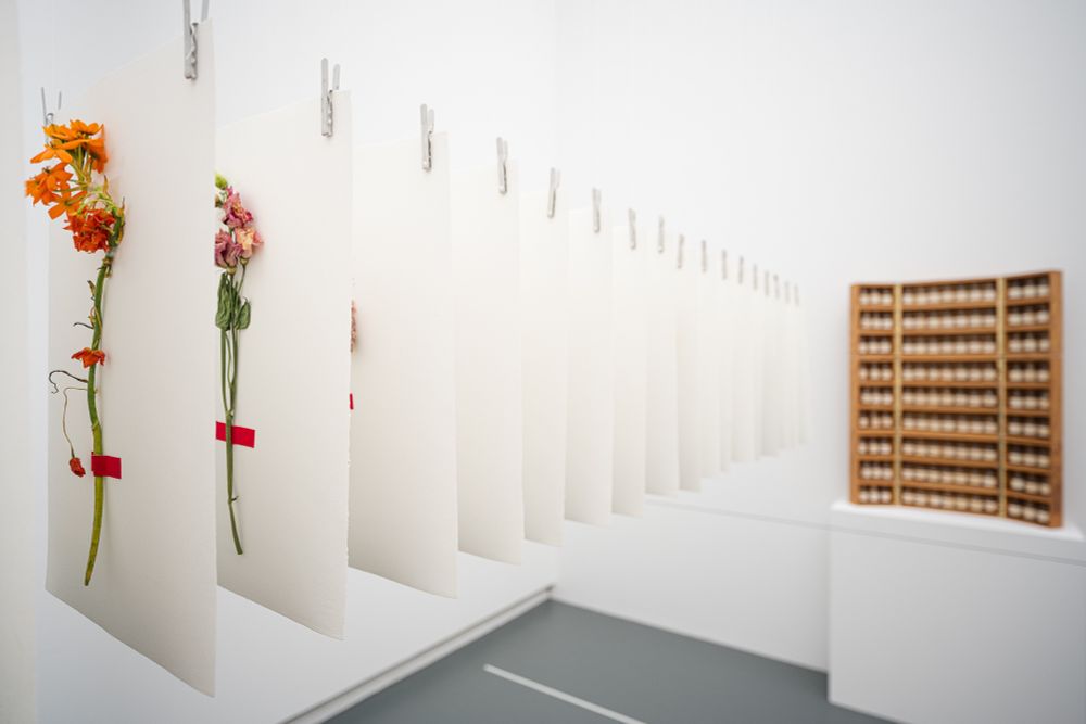 Blumen für die Kunst 2025