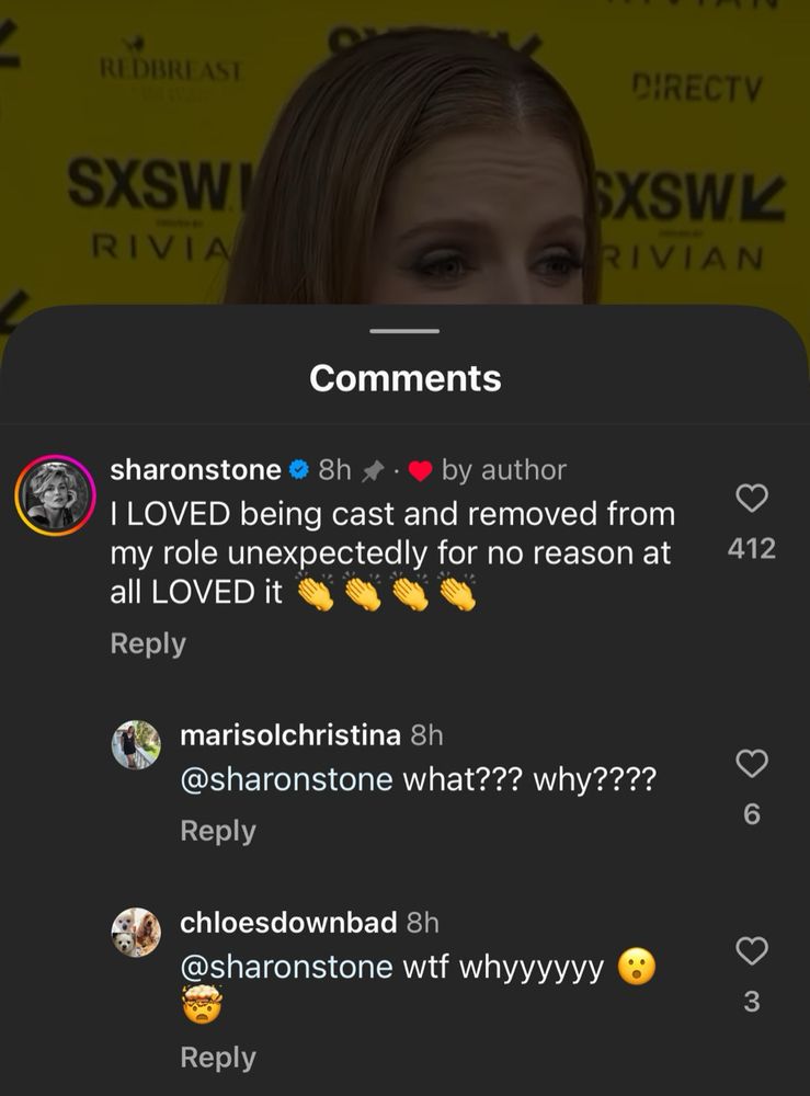 Sharon Stone’s comment on an instagram reel saying she was removed from her role in Another Simple Favor.