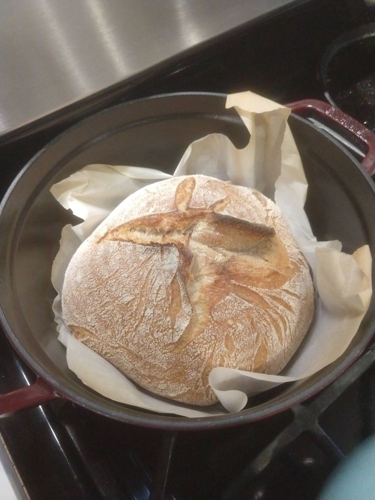 Round loaf of golden brown sourdough bread on top of parchment paper in a Dutch oven