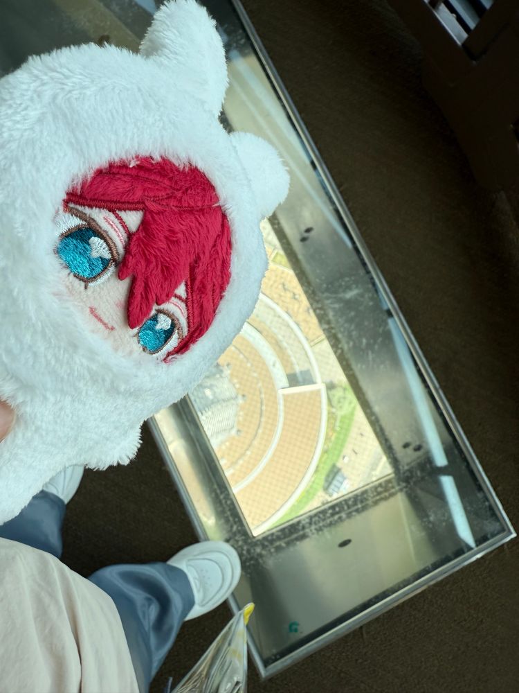 ビビってこの上に乗れないにベットするぜ！
※無事乗って燐音ぬい氏に勝ちました✌️