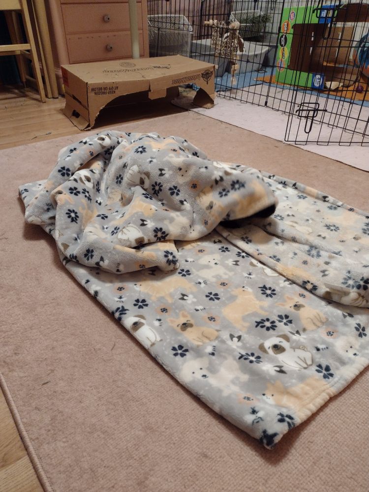 A grey blanket with a dog pattern, with a sizable lump in the middle
