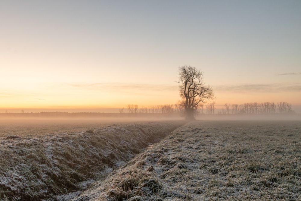 Das Foto zeigt eine weite, nebelverhangene Landschaft im frühen Morgenlicht. Im Vordergrund verläuft ein schmaler Graben, gesäumt von trockenem, leicht bereiftem Gras. Rechts und links dehnt sich ein offenes Feld aus, das von einer dünnen Frostschicht bedeckt ist, wodurch die Textur des Bodens und der Halme besonders sichtbar wird. In der Mitte der Szene steht ein einzelner, kahler Laubbaum, der als markanter Blickfang dient. Am Horizont ist eine Reihe weiterer Bäume erkennbar, die im Nebel weich verschwimmen. Der Himmel zeigt einen zarten Verlauf von warmem Orange und Gelb im unteren Bereich zu kühlem Blau und Grau nach oben – ein ruhiger, klarer, aber kalter Herbstmorgen mit starkem Kontrast zwischen warmer Lichtstimmung und frostiger Umgebung.