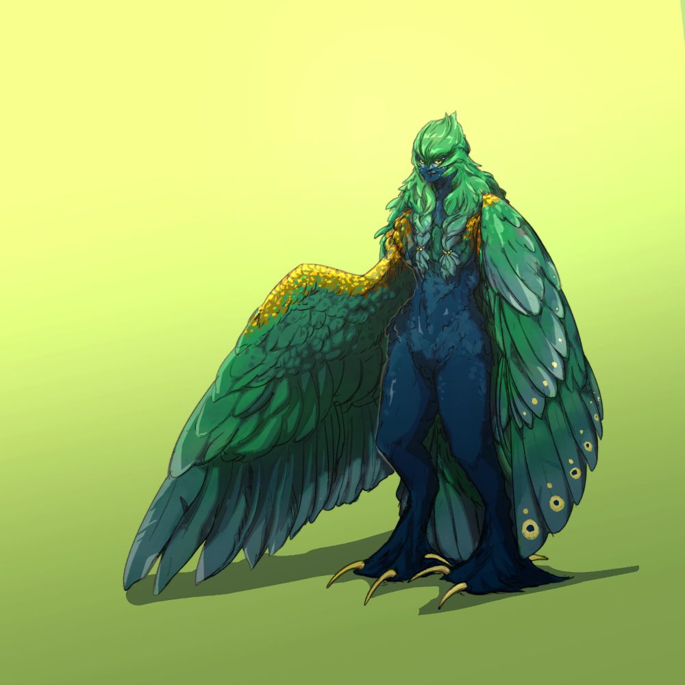 A drawing of a harpy inspired by peacocks. A birdwoman with fluffy deep blue feathers, that turn greener on the wings. Golden scale-like feathers adorn her shoulders. Green, bust long feather-like hairs are braided on the front, and the bangs are styled like a helmet. The eyes are of pale gold, and check underneath them are freckled in a similar hue. The feet resemble those of snowy owls.