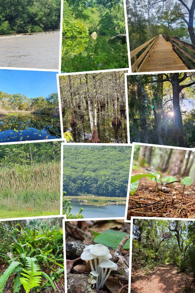 Nature 