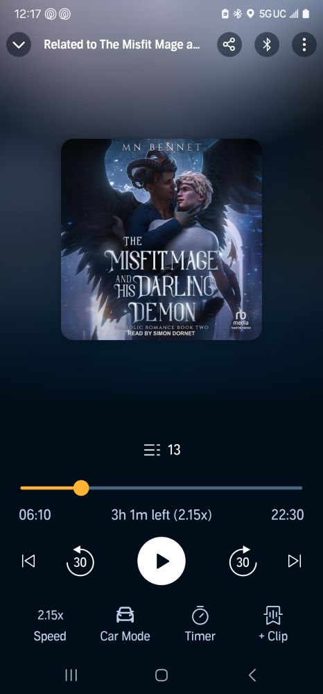 The misfitmage and his Darling Demon by MN Bennet