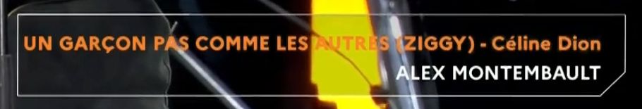 Une chanson affichée comme étant "Un graçon pas comme les autres (Ziggy) - Céline Dion" chantée par Alex Montembault