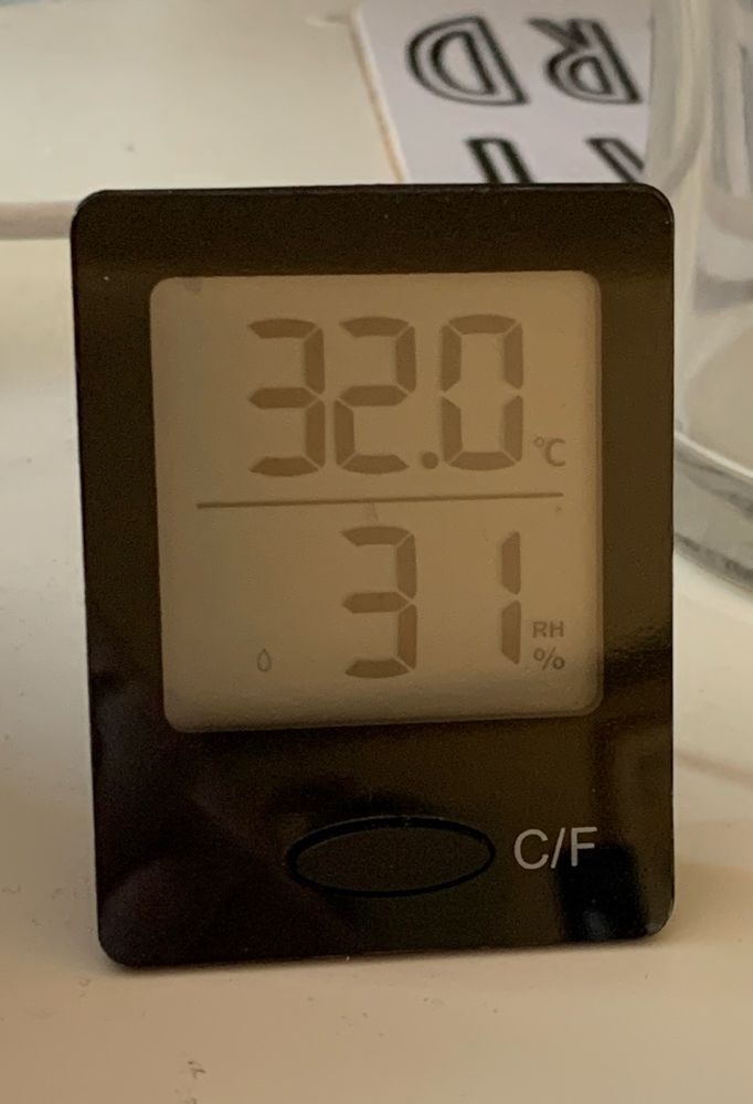 Small black digital thermometer showing a temperature of 32 C and 31% relative humidity 