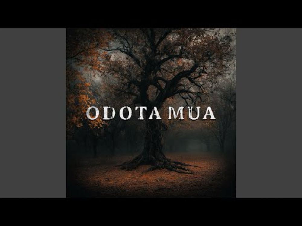 Odota mua