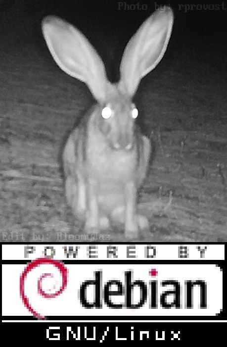 Black and white grainy trailcam photo of a black-tailed jackrabbit by rprovost on iNaturalist edited to include a classic "Powered by Debian GNU/Linux" badge that includes the Debian swirl logo. The Jackrabbits eyes appear to glow white because of the camera flash.