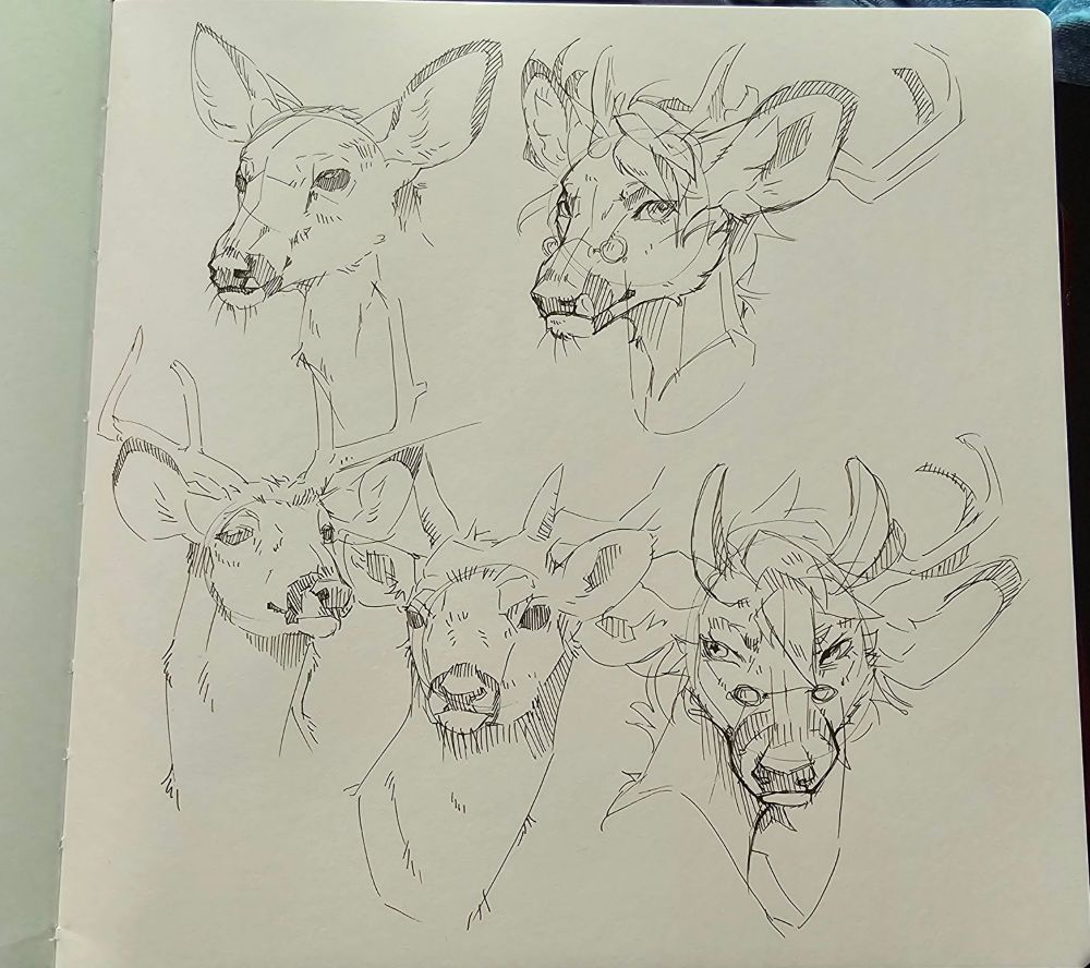 Deer headshot studies. #art #furry #furryart #raffle