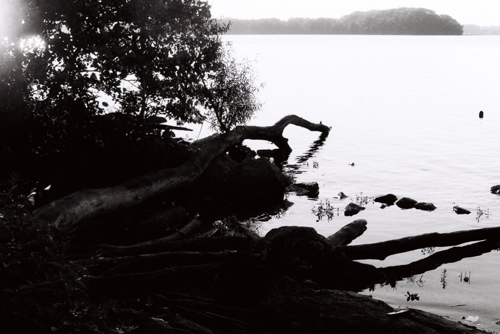 black and white photo at the edge of a riverbank; the bank is very dark, logs extend into the water; there are trees in the distance on the other side of the river; it is the delaware river