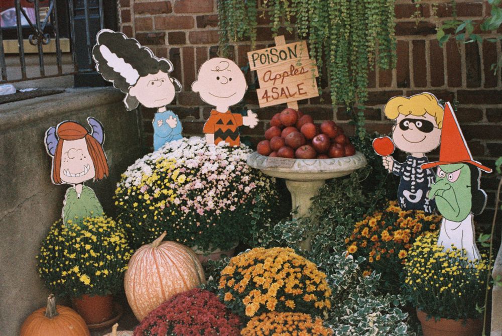 photo of a snoopy-themed halloween display; the character cutouts are arranged on a display of flowerpots; in the center is a birdbath piled with apples and a sign reading "poison apples 4 sale"
