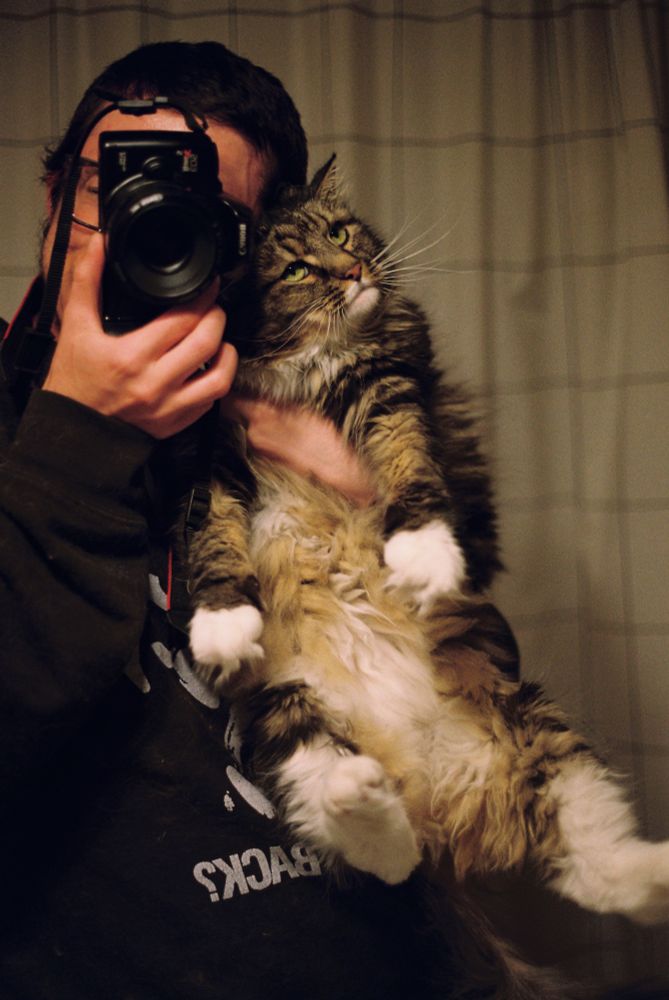 mirror selfie photo of the photographer holding their grumpy domestic longhair cat; the camera covers the photographer's face
