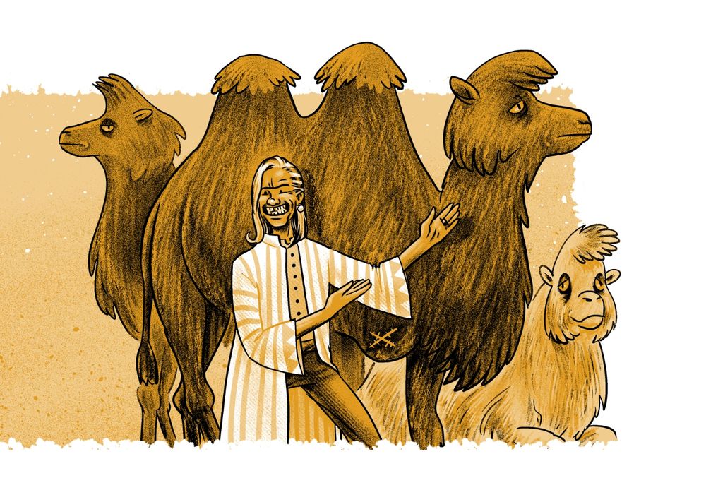 Ilustração de um vendedor de camelos mostrando seu produto. Suas vestes sugerem algo da moda do oriente médio. Ele mostra um sorriso largo enquanto apresenta um camelo com apenas três patas.
