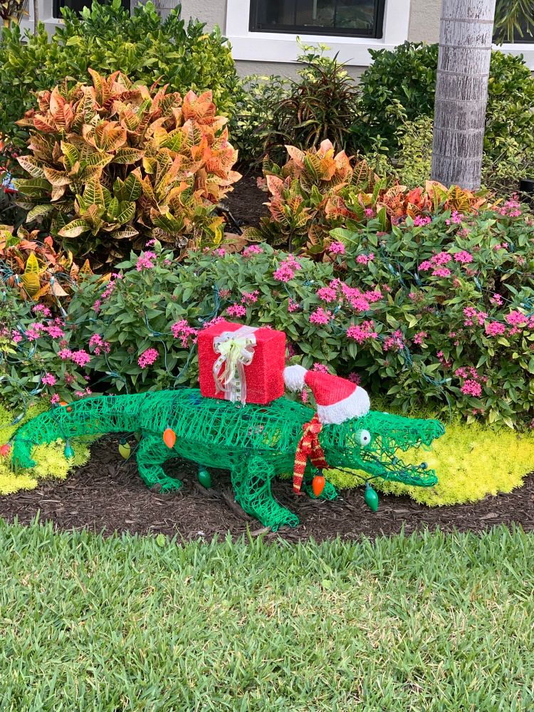 Photo of a Christmas lawn decoration made of lights, an alligator in a santa hat is carrying a present. The gator’s eyes are wide and mouth is open. They are either biting, screaming in holiday angst, or emitting holiday cheer before eating someone. This means the poster once lived in Florida.