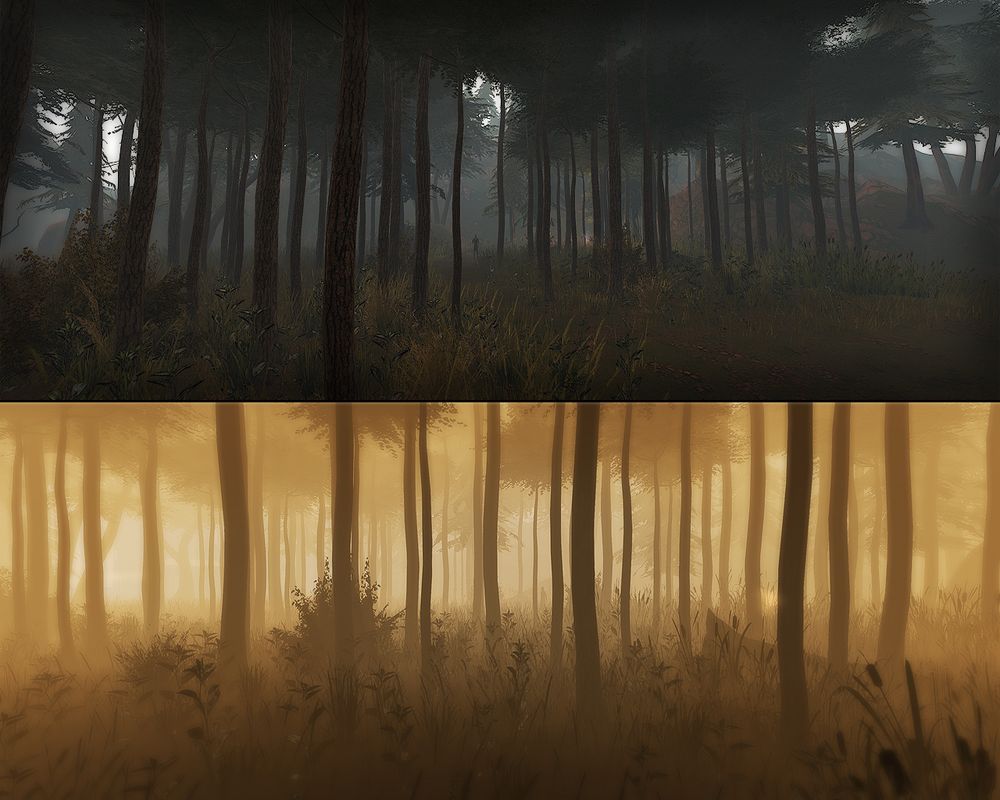 More pictures of different light in the forest I have been making, using new trees and plants and grasses and rocks, a project that is long overdue. Zen is your hands in the dirt, say the masters.