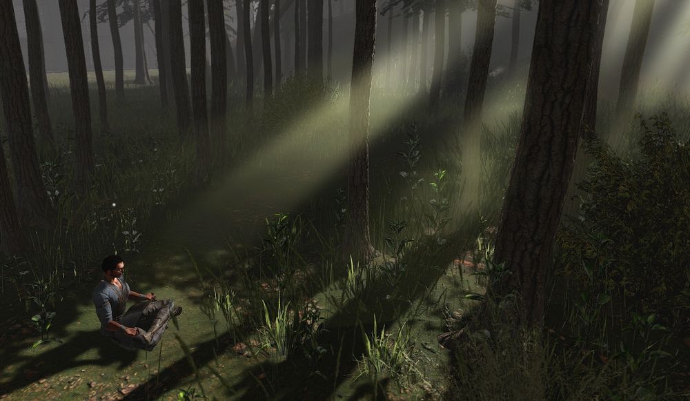 A picture of me in the lotus position in a forest glade, sunbeams landing on me in a moment of serene meditation, one of the benefits of Second Life which is not so virtual. Mindfulness can be mindless.