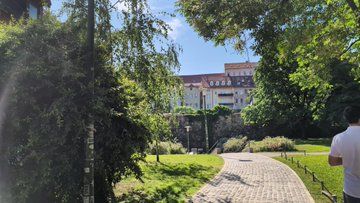 Lush green park with city buildings in the distance 