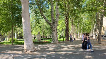 Large trees in a well-kept city park in downtown Zagreb 
