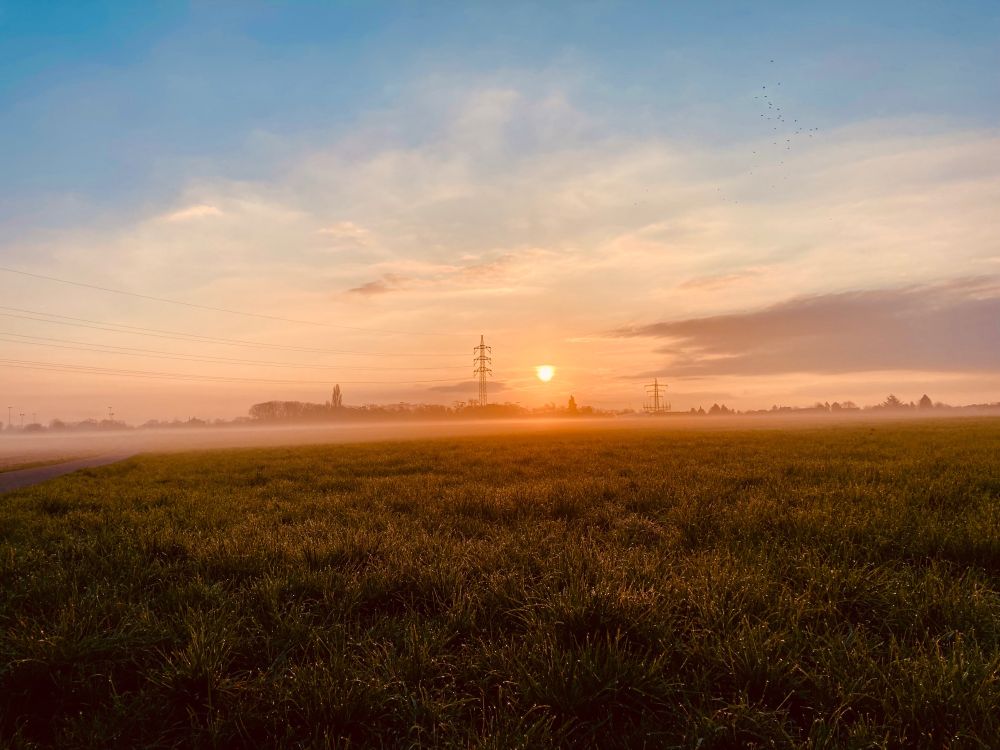 Ein blauer Himmel, Wolkenschleier, Sonnenaufgang über dem Feld mit Nebel. Wunderschön.