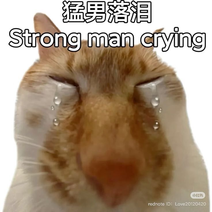 Comment image