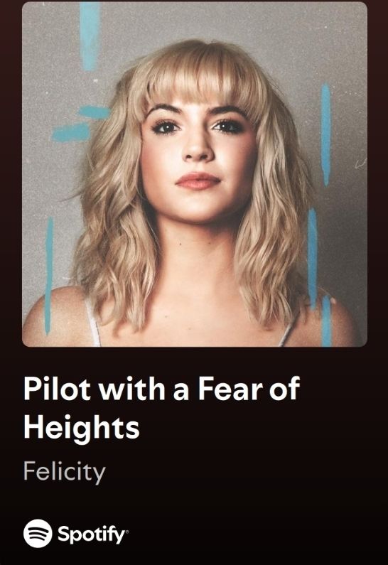 Pilot with a Fear of Heights by Felicity 