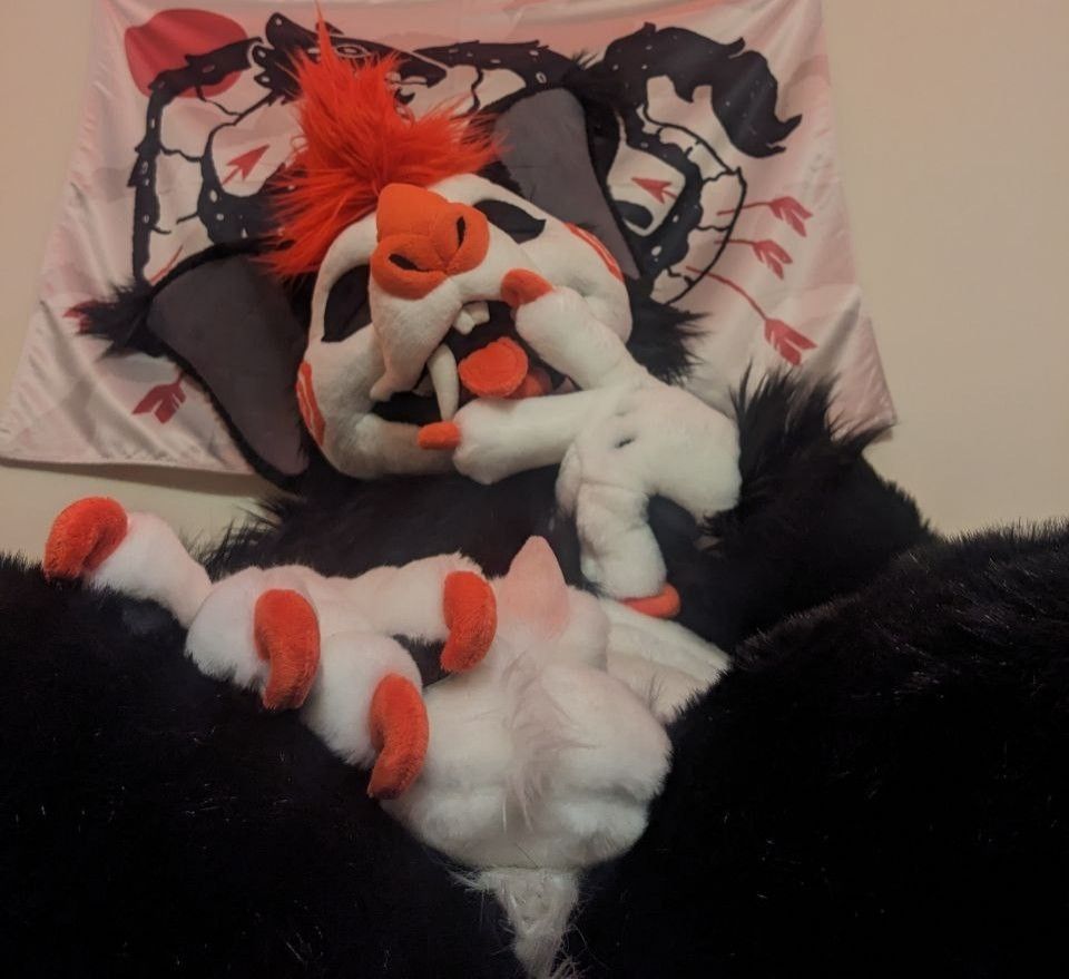 A black and white bat fursuiter with red claws and a red mohawk showing off her little cockette while doing an eating pussy gesture with her handpaw and lolling tongue