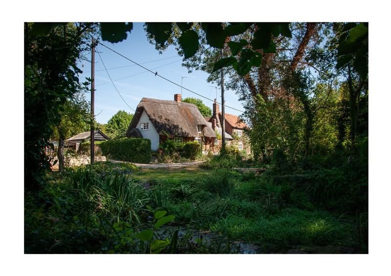 A cottage seen through trees with a pond in the foreground 